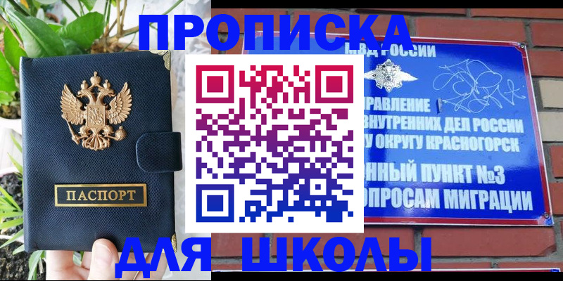 прописка гарантия в Мытищах